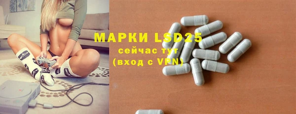 спайс Инсар
