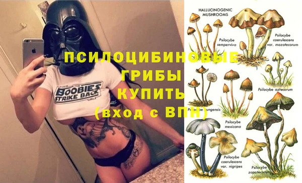 спайс Инсар