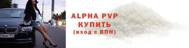 шишки Иннополис